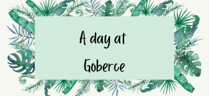 A day at Goberce